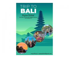 Bali Tour Package | Now on Offers 30 % Off | Anjna Global