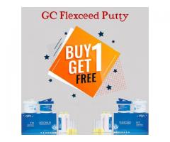 Flexceed Putty (Buy One Get One)