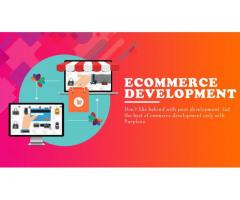 ecommerce development company in New Delhi | ecommerce development Services