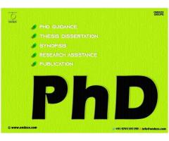Phd  ,Assistance 