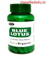 Buy Herbal Blue Lotus Powder Capsules In Bulk - Nutraorganix