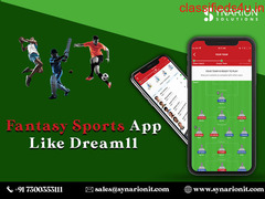 Kick Start Your Fantasy Sports App Like Dream11
