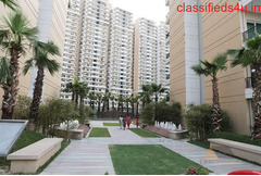 Apartment on rent Sector 1 Noida Extension