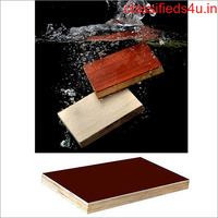 Best Quality Shuttering Plywood manufacturer