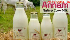  Cow Milk Chennai