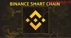 Explore the world of Binance Smart Chain Development
