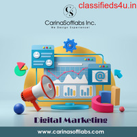 Digital Marketing Services | Affordable SEO - Carina Softlabs Inc