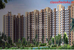 Nirala Estate- Residential Project In Noida 