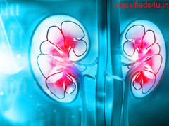 Urology and Andrology in Madurai | Andrology In Madurai - Devadoss Hospital