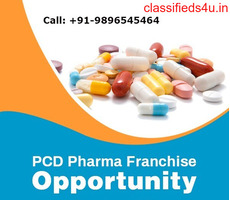PCD Pharma Franchise Business Opportunity in India