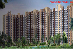 Nirala Estate - 2/3 Bhk Flats In Noida Extension Phase-2 