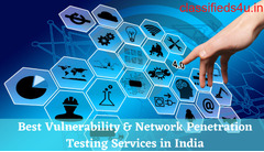 Best Vulnerability & Network Penetration Testing Services in India