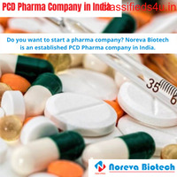 PCD Pharma Company In India