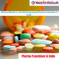 Pharma Franchise in India 