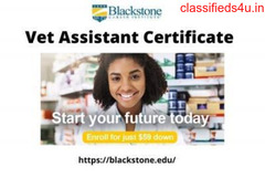 Join Vet Assistant Certificate Program Offered By Blackstone