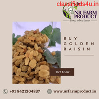 Buy Golden Raisin In India