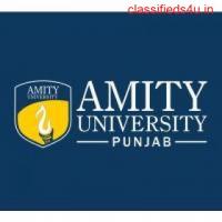 Amity University Punjab course B.Sc Physics (Hons.) with research