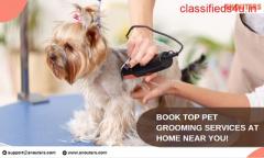 Book Top Pet Grooming Services At Home Near You!