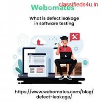 What is defect leakage in software testing