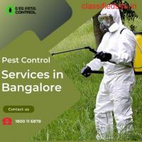 Best Quality Pest Control Services in Bangalore at Low Rates near You