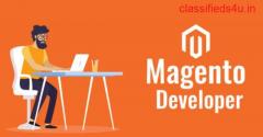 Magento Website Developer in India