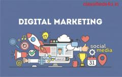 Digihive - Digital Marketing Agency in Lucknow