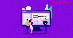 WooCommerce Website Development Services
