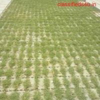 Buy Superior Quality Grass Pavers At An Affordable Price