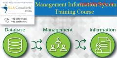 MIS Training in Delhi, Laxmi Nagar, SLA Analytics Institute, Excel, VBA, SQL, 100% Job