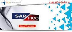 SAP FICO Classes in Delhi, Janakpuri, SLA Institute, Accounting, Free Demo, Summer Offer '23