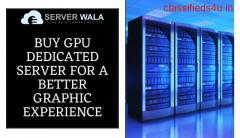 Buy GPU Dedicated Server for a Better Graphic Experience 