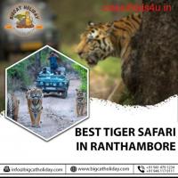 Bigcat Holiday - Tiger Safari Ranthambore | Car Rental | Holiday & Tour Packages