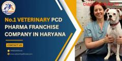 No.1 veterinary pcd pharma franchise company in haryana