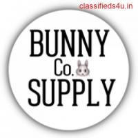 Best Bunny Pet Supplies