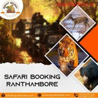 safari booking Ranthambore | bigcatholiday.com