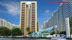 Gulshan Ikebana in Sector 143 Noida - Flats & Apartments