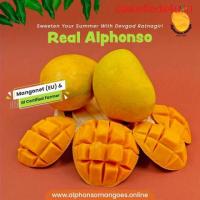 Buy Alphonso Mangoes Online - The Best Mango Shop Online
