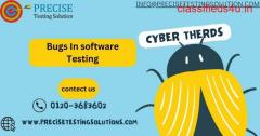 Bugs In software testing 
