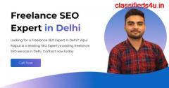 Freelance SEO Expert in Delhi