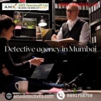 Trust with the Excellent AMX Detective Agency in India