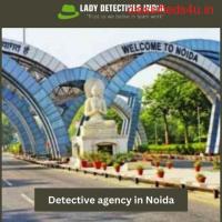 What is the expected timeframe for a Detective Agency in Noida to conclude an investigation?