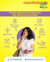 Your Guide to Study Abroad Education Consultants – EduFLy Consultant