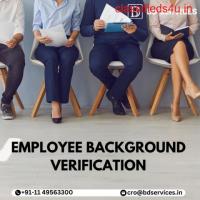 What Technology Is Used in Conducting Employee Background Verification?