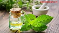 What Is The Difference Between Peppermint Oil And Menthol?