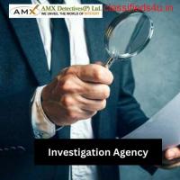 What Are the Legal Requirements for Operating an Investigation Agency?