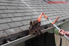 Gutter Cleaning Services in Lynnwood